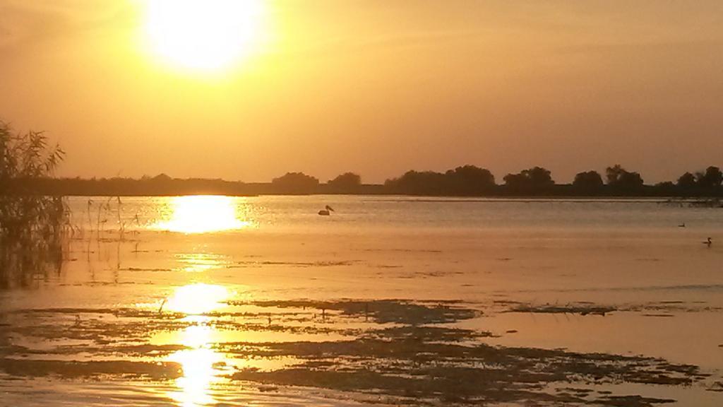 Delta Pontoon Hotel มาห์มูเดีย ห้อง รูปภาพ